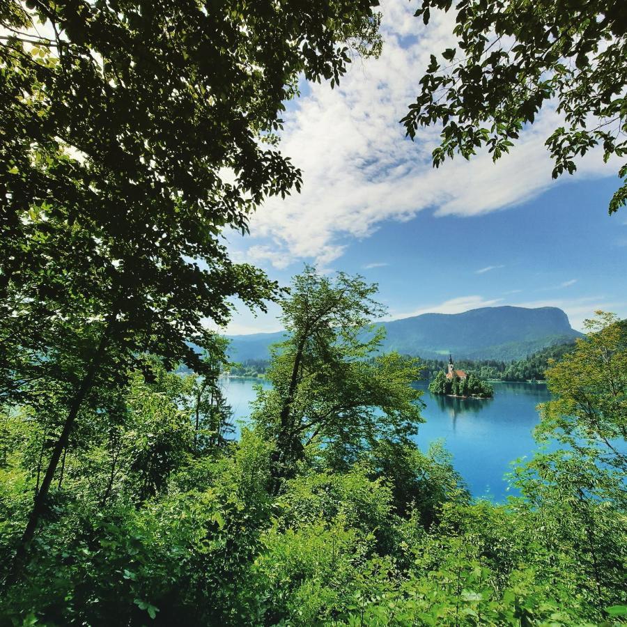 Garden Paradise Bled Apartments - Garden, Pond And Castle View エクステリア 写真