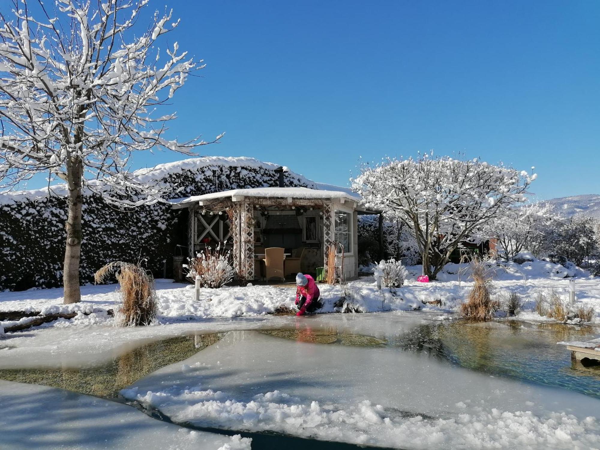 Garden Paradise Bled Apartments - Garden, Pond And Castle View エクステリア 写真